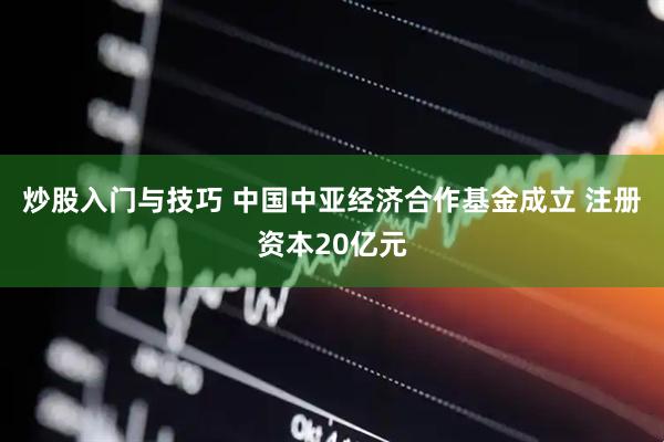 炒股入门与技巧 中国中亚经济合作基金成立 注册资本20亿元