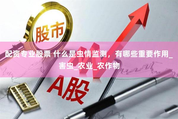 配资专业股票 什么是虫情监测，有哪些重要作用_害虫_农业_农作物