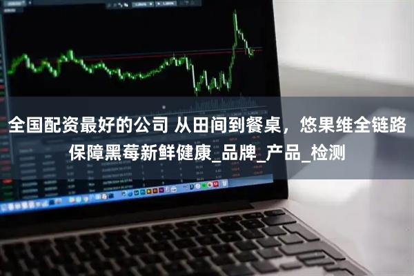 全国配资最好的公司 从田间到餐桌，悠果维全链路保障黑莓新鲜健康_品牌_产品_检测
