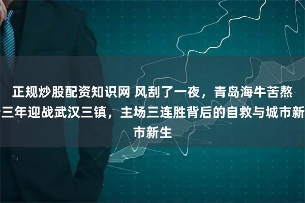 正规炒股配资知识网 风刮了一夜，青岛海牛苦熬十三年迎战武汉三镇，主场三连胜背后的自救与城市新生